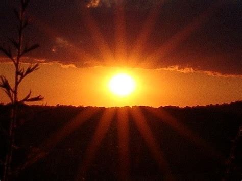 ray of sunlight preston.